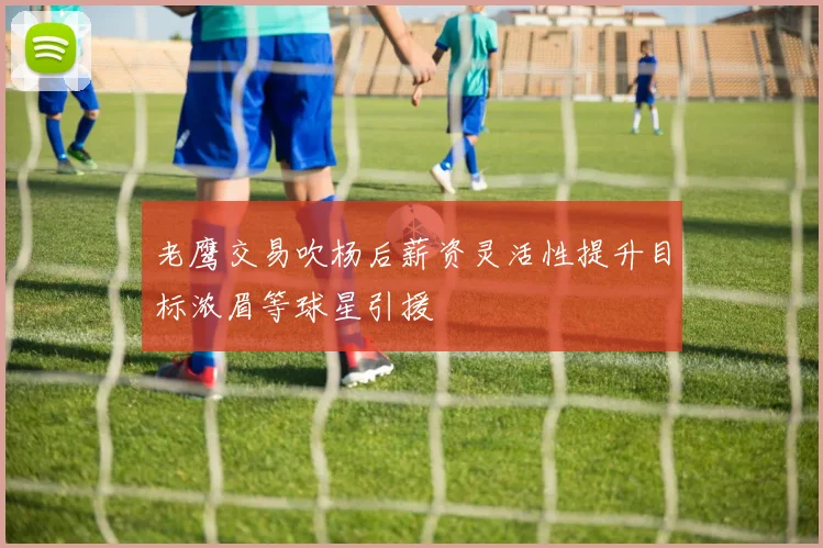 老鹰交易吹杨后薪资灵活性提升目标浓眉等球星引援